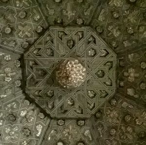 Meet your Posher, Noah